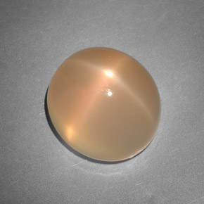 7.48캐럿 천연 피치 오렌지 스타 문스톤, 투명한, 11.8×10.7 mm, 투명/반투명