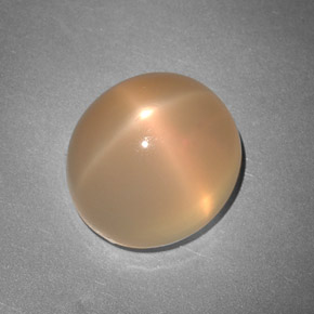 7.48캐럿 천연 피치 오렌지 스타 문스톤, 투명한, 11.8×10.7 mm, 투명/반투명