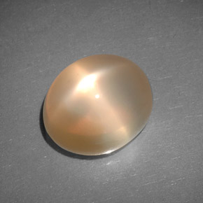 6.83캐럿 천연 피치 오렌지 스타 문스톤, 투명한, 12.4×10.3 mm, 투명/반투명
