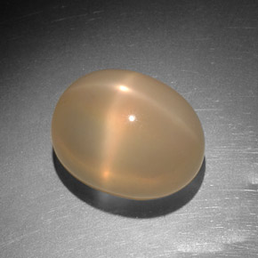 9.14캐럿 천연 피치 오렌지 스타 문스톤, 투명한, 13.1×10.1 mm, 투명/반투명