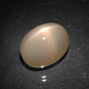 9.06캐럿 천연 피치 오렌지 스타 문스톤, 투명한, 12.6×9.1 mm, 투명/반투명