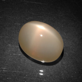 9.06캐럿 천연 피치 오렌지 스타 문스톤, 투명한, 12.6×9.1 mm, 투명/반투명
