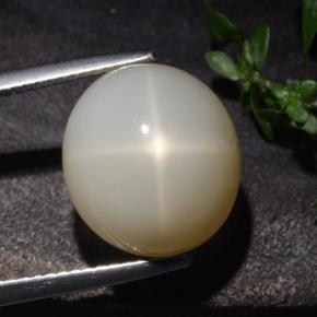 10.60캐럿 천연 크림 스타 문스톤, 타원형 컷, 13.9×12.5 mm, 투명한