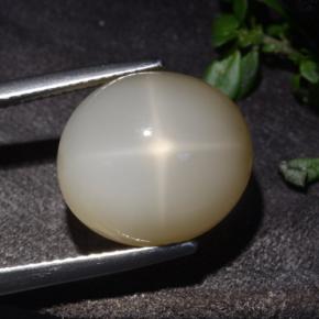 10.60캐럿 천연 크림 스타 문스톤, 타원형 컷, 13.9×12.5 mm, 투명한