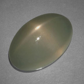 17.69캐럿 천연 연기 스타 문스톤, 타원형 컷, 투명한