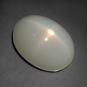 12.41캐럿 천연 밀키 화이트 스타 문스톤, 투명한, 16.1×11.6 mm, 투명/반투명