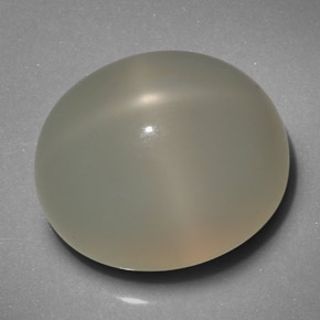19.29캐럿 천연 크림 스타 문스톤, 투명한, 16.6×14.2 mm, 투명/반투명