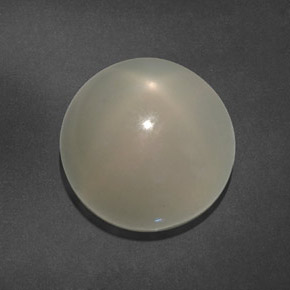 15.64캐럿 천연 밀키 화이트 스타 문스톤, 투명한, 14.28 mm, 투명/반투명