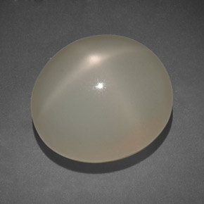 14.00캐럿 천연 크림 스타 문스톤, 투명한, 14.5×12.5 mm, 투명/반투명