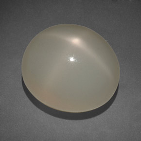 14.00캐럿 천연 크림 스타 문스톤, 투명한, 14.5×12.5 mm, 투명/반투명