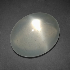 11.92캐럿 천연 밀키 화이트 스타 문스톤, 투명한, 15.7×12.5 mm, 투명/반투명