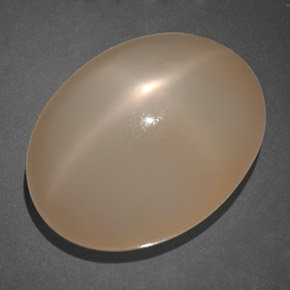 19.69캐럿 천연 크림 피치 스타 문스톤, 투명한, 18.4×14 mm, 투명/반투명