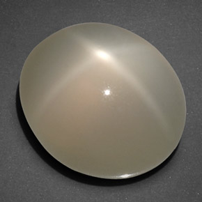 20.40캐럿 천연 크림 스타 문스톤, 투명한, 16.7×14.2 mm, 투명/반투명