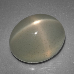 12.51캐럿 천연 크림 스타 문스톤, 투명한, 15×12.3 mm, 투명/반투명