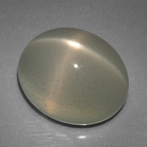 12.51캐럿 천연 크림 스타 문스톤, 투명한, 15×12.3 mm, 투명/반투명