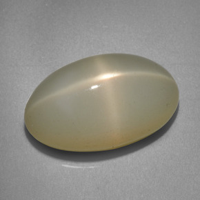 12.06캐럿 천연 크림 스타 문스톤, 타원형 컷, 18×10.8 mm, 투명한