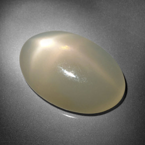 16.18캐럿 천연 크림 스타 문스톤, 타원형 컷, 22.1×14.8 mm, 투명한