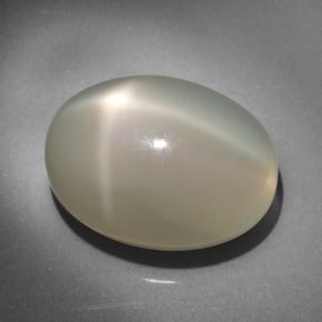23.34캐럿 천연 크림 스타 문스톤, 타원형 컷, 20.3×15.2 mm, 투명한