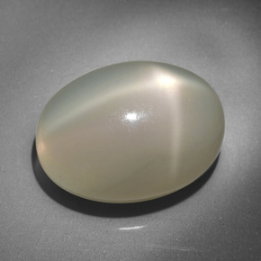 23.34캐럿 천연 크림 스타 문스톤, 타원형 컷, 20.3×15.2 mm, 투명한