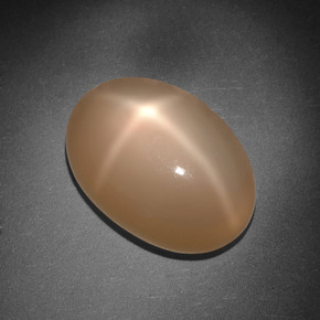 8.01캐럿 천연 피치 오렌지 스타 문스톤, 타원형 컷, 15.2×10.7 mm, 투명한