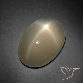 7.41캐럿 천연 미디엄 다크 오렌지 스타 문스톤, 타원형 컷, 14.2×10 mm, 투명한