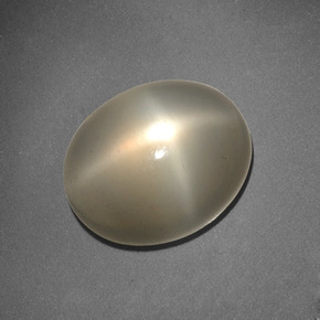 6.62캐럿 천연 크림 스타 문스톤, 타원형 컷, 13×10.7 mm, 투명한