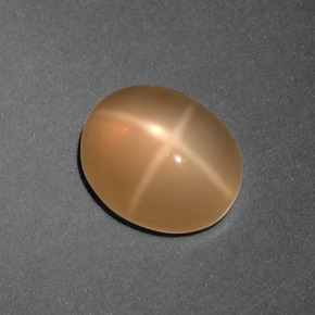 3.01캐럿 천연 크림 피치 스타 문스톤, 타원형 컷, 10.1×8.2 mm, 투명한