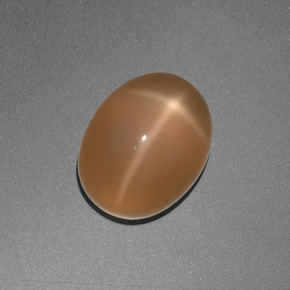 3.05캐럿 천연 크림 피치 스타 문스톤, 타원형 컷, 9.1×7.2 mm, 투명한