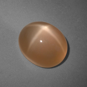 6.04캐럿 천연 크림 피치 스타 문스톤, 타원형 컷, 11.1×9.1 mm, 투명한