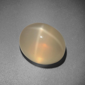 5.51캐럿 천연 크림 스타 문스톤, 타원형 컷, 11.2×9.1 mm, 투명한