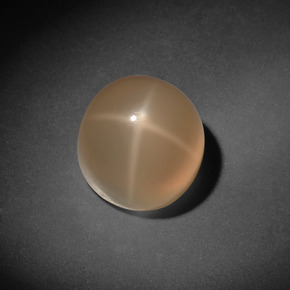 7.13캐럿 천연 크림 스타 문스톤, 라운드 컷, 9.82 mm, 투명한