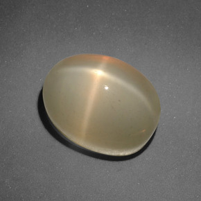 7.31캐럿 천연 갈색빛 오렌지 스타 문스톤, 타원형 컷, 11.3×8.2 mm, 투명한
