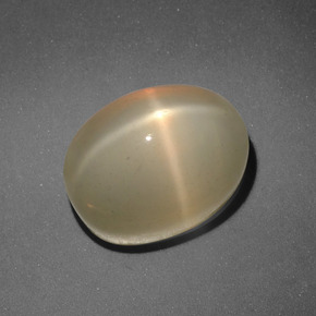 7.31캐럿 천연 갈색빛 오렌지 스타 문스톤, 타원형 컷, 11.3×8.2 mm, 투명한