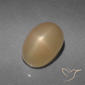 5.21캐럿 천연 금 스타 문스톤, 타원형 컷, 투명한