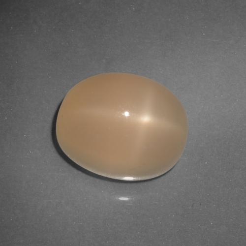 6.21캐럿 천연 미디엄 오렌지 스타 문스톤, 타원형 컷, 투명한