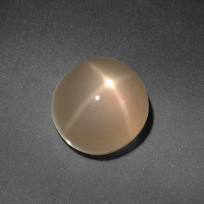 4.98캐럿 천연 크림 스타 문스톤, 라운드 컷, 9.22 mm, 투명한