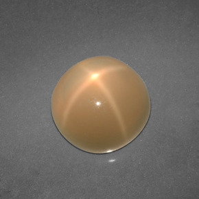 4.57캐럿 천연 크림 스타 문스톤, 라운드 컷, 9.77 mm, 투명한