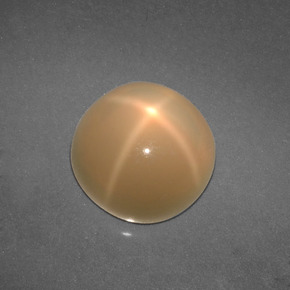 4.57캐럿 천연 크림 스타 문스톤, 라운드 컷, 9.77 mm, 투명한