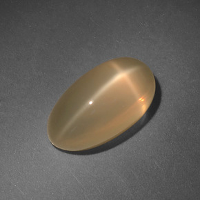 4.71캐럿 천연 크림 스타 문스톤, 타원형 컷, 13.1×7.2 mm, 투명한