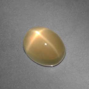 2.73캐럿 천연 크림 스타 문스톤, 타원형 컷, 9.2×7.3 mm, 투명한