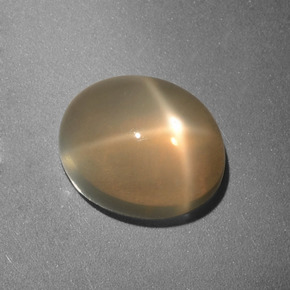 3.49캐럿 천연 크림 스타 문스톤, 타원형 컷, 10×8.2 mm, 투명한