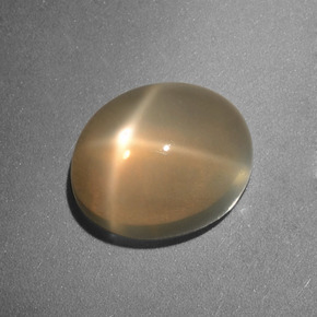 3.49캐럿 천연 크림 스타 문스톤, 타원형 컷, 10×8.2 mm, 투명한