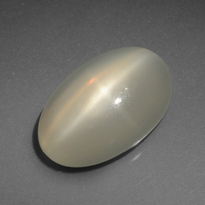 7.36캐럿 천연 크림 스타 문스톤, 타원형 컷, 16.5×10.5 mm, 투명한