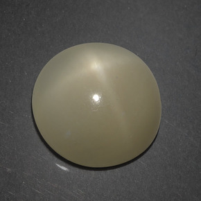 7.18캐럿 천연 라이트 브라운 스타 문스톤, 라운드 컷, 12.50 mm, 투명한