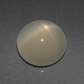 3.56캐럿 천연 크림 스타 문스톤, 라운드 컷, 10.07 mm, 투명한