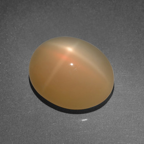 8.03캐럿 천연 크림 피치 스타 문스톤, 타원형 컷, 14.1×11.8 mm, 투명한