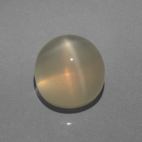 6.28캐럿 천연 크림 스타 문스톤, 라운드 컷, 10.14 mm, 투명한