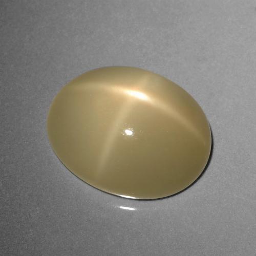 8.95캐럿 천연 라이트 커피 브라운 스타 문스톤, 타원형 컷, 투명한