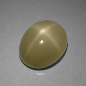 7.29캐럿 천연 그린 스타 문스톤, 타원형 컷, 13×11 mm, 투명한