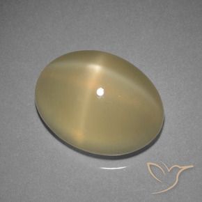 7.29캐럿 천연 라이트 웜 브라운 스타 문스톤, 타원형 컷, 투명한